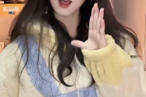 中欧责任投资混合A
